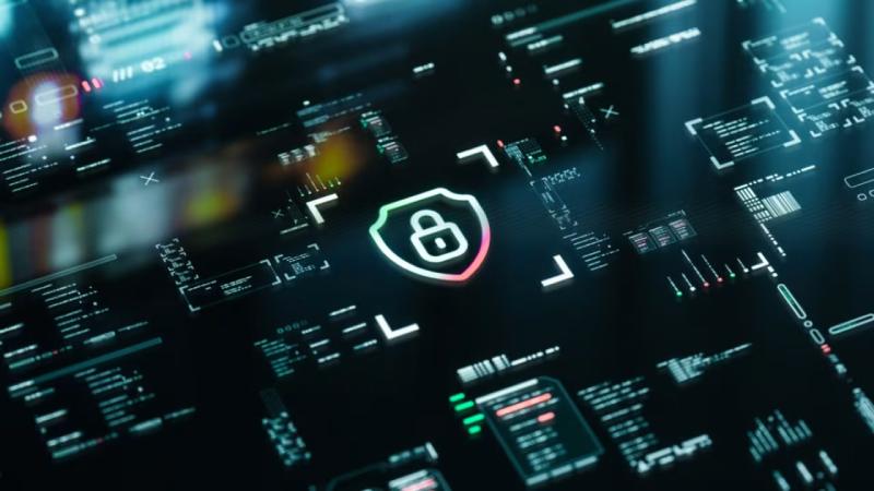 托里县软件开发公司